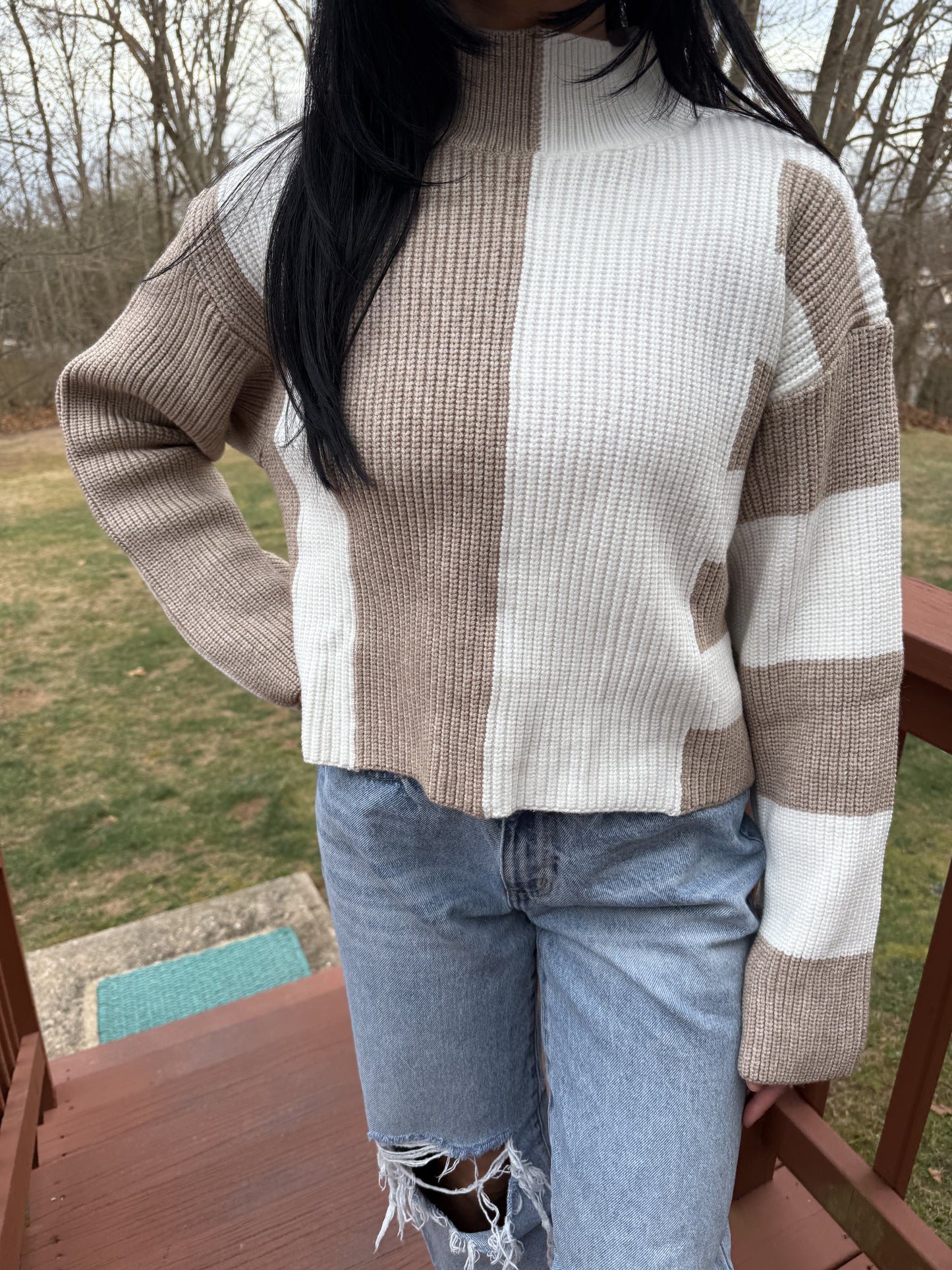 Taupe and White Mock Turtleneck Sweater